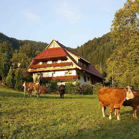 Appartement Unterer Gurethshof à Zell am Harmersbach Extérieur photo