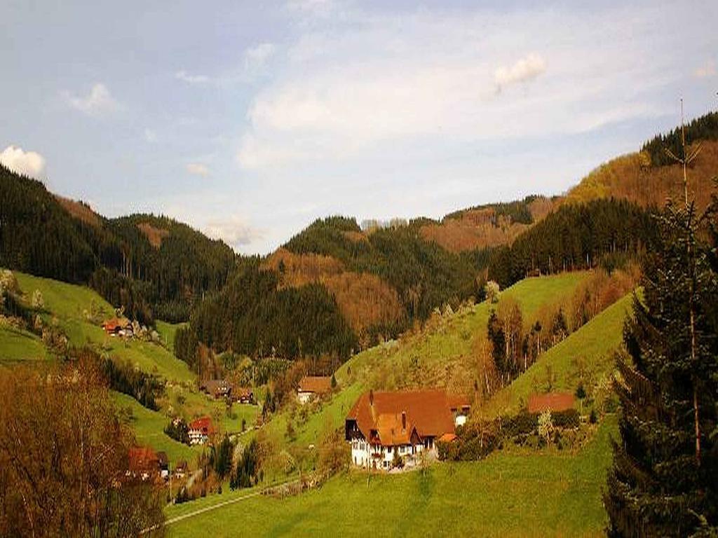 Appartement Unterer Gurethshof à Zell am Harmersbach Extérieur photo