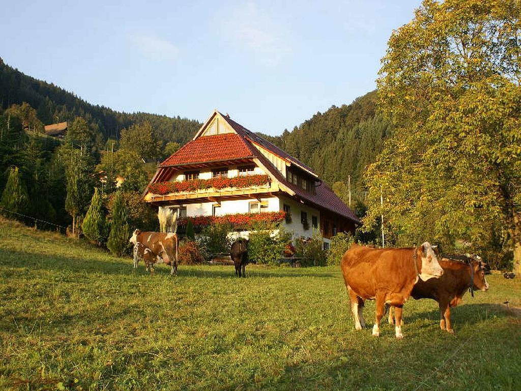 Appartement Unterer Gurethshof à Zell am Harmersbach Extérieur photo