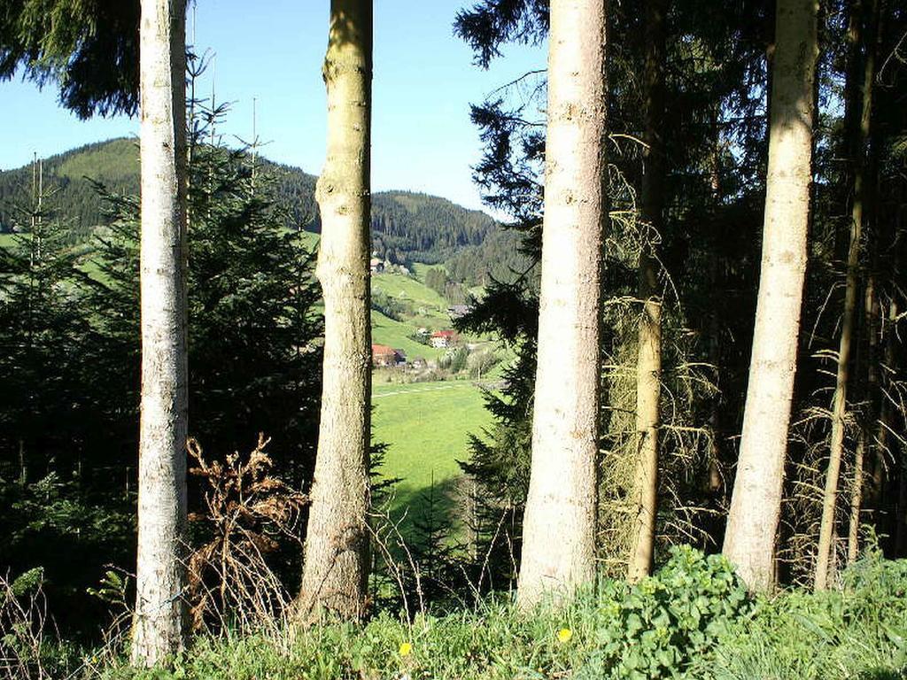 Appartement Unterer Gurethshof à Zell am Harmersbach Extérieur photo